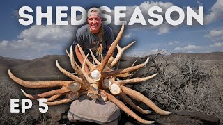 Alyssa’s SOLO Shed Hunting Trip! (Day 1) - 2023 SHED SEASON EP. 5