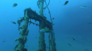 Diving on the Wrecks 2 today  - Lanzarote Non Stop Divers