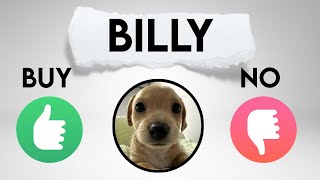 Billy meme coin price prediction. Billy Solana Meme Coin