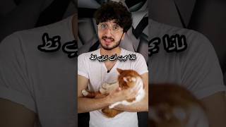 عندك قط ؟ #اكسبلور #explore #cat #طبيب #قطط #collage #funny #حيوانات #قط