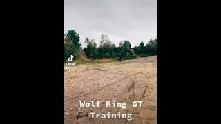 Wolf King GT Jump