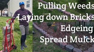 Pulling Weeds// Brick Edge// Mulching🌿 [ Zone 7B Gardening Waldorf MD.]