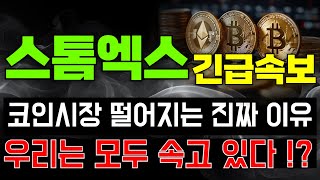 [스톰엑스 코인전망] 코인시장 떨어지는 진짜 이유, 우리는 모두 속고 있다 !?