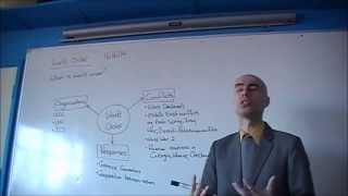 Introduction To World Order (HSC Legal Studies)