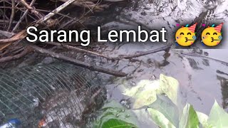 Pasang bubu lembat dimusim kemarau