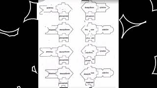 DNA REPLICATION SIMULATION