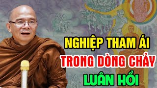 Nghiệp THAM ÁI Trong Dỏng Chảy Của LUÂN HỒI (nên nghe) | Sư Toại Khanh - Sư Giác Nguyên Giảng