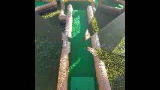 9 hole inflatable mini golf