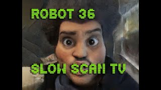 0110 Toonify SSTV Robot36