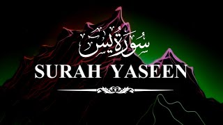 Surah Yaseen | سورة يس | Beautiful Quran Recitation Of Surah Yaseen By @Tajulislamdailyquran