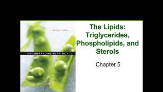 The Lipids (Chapter 5)