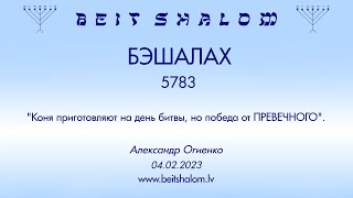 БЭШАЛАХ 5783. "Коня приготовляют на день битвы, но победа от ПРЕВЕЧНОГО". (А. Огиенко 04.02.2023)