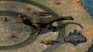 Pillars of Eternity II: Deadfire - Porokoa