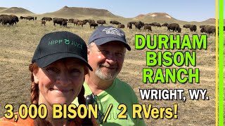 STAND IN A HERD OF 3000 BISON | DURHAM BISON RANCH WRIGHT WY | BIG LOST MEADERY GILLETTE WY | EP194