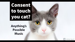 Consent to touch you Cat? GMB discuss