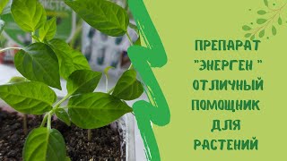 ☘🖒Препарат "Энерген " отличный помощник для растений