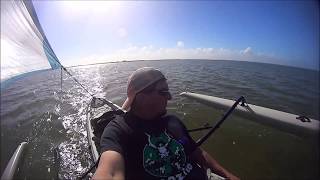 Hobie Adventure Island, Manatees in Mosquito Lagoon, Canaveral National Seashore