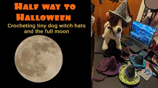 Half way to Halloween (Crocheting tiny dog witch hats and the full moon)