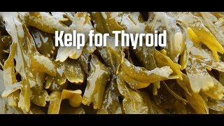 Kelp for Thyroid