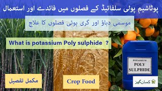 Potassium poly sulphide is best for all crops to enhance double yield, Also repellent rats Kisanghar