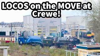 LOCOS on the MOVE at a BUSY CREWE Station on 14/03/2024 - Inc DB CONVOY..!