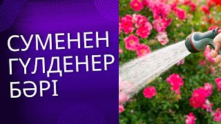 Табиғат жаны, өмірдің нәрі…