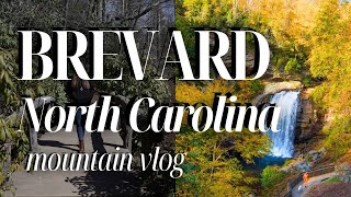 The Best Mountain Town You've Never Heard Of: Brevard, NC