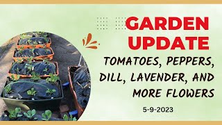 Garden Update Tour - Herbs and Flowers