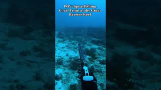 #Shorts Australia - Great Barrier Reef Freedive Spearfishing for Coral Trout