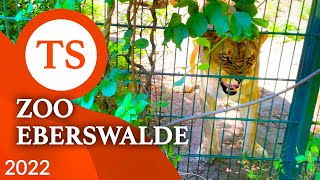 Zoo Eberswalde - Atrakcje w Niemczech blisko granicy z Polską i Szczecina