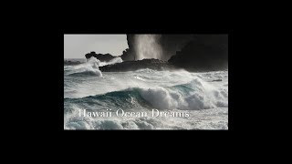 Hawaii Ocean Dreams