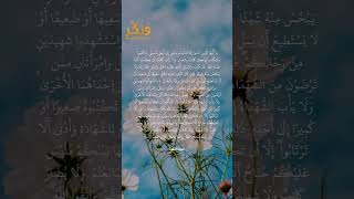 تلاوة جميلة من سورة البقرة الآية 282 بصوت القارئ مشاري راشد العفاسي #حالات #فولو #quran #shorts