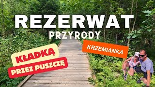 Podlaskie szlaki. Kładką po puszczy Knyszyńskiej