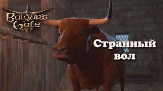 Baldur's Gate 3. Странный вол | Темный Соблазн