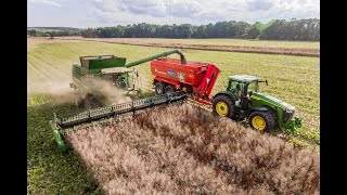 2X John Deere T670i HillMaster 730X & John Deere 8R310 E23 & Annaburger Umladewagen HTS 24.16