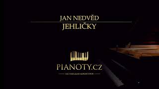 Jan Nedvěd - Jehličky (klavírní doprovod / karaoke)