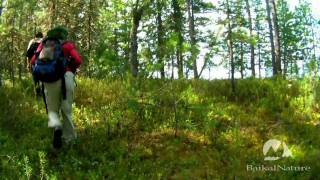 Randonnée dans la taïga du Baïkal avec BaikalNature