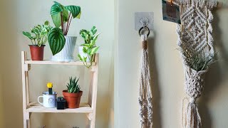 APARTMENT BEDROOM PLANTS 🌵 designing room with plants 🌱