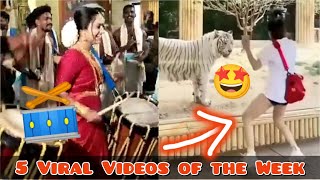 Top 5 viral videos | #viralvideos #viralvideo2022 @VirHut1419 #subscribe