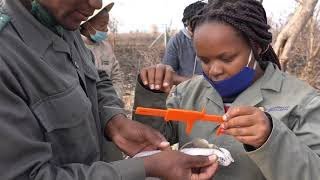 OTS Women in Science