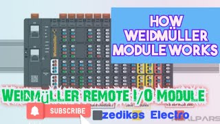 The Future of Industrial Automation: Weidmüller’s u-remote I/O System Explained