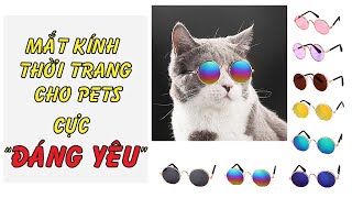 Mắt kính thời trang cho chó mèo - Nông Trại Thú Cưng