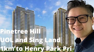 Pinetree Hill Launching Soon!