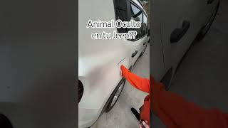 Animal oculto en tu Jeep???