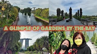 A GLIMPSE OF GARDENS BY THE BAY