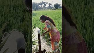 Do you drink bore water.? 💦#green #nature #farming #paddy #shorts #youtubeshorts #youtube#video#yt