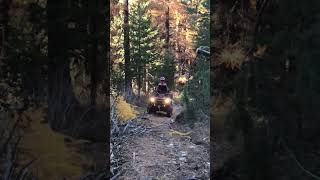 Dur Dur pour Owen #attitude #aventure #entrainement #extreme #quad #nature #atv