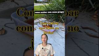 Como acabar lesma no jardim