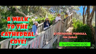 A WALK TO CATHEDRAL COVE! @ COROMANDEL PENINSULA,..NEW ZEALAND ./ HENZ74@NZ VLOG