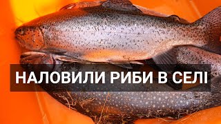 Село Колочава: рибалка, ріплянка, смажена форель,  село 10 музеїв / Форелева ферма